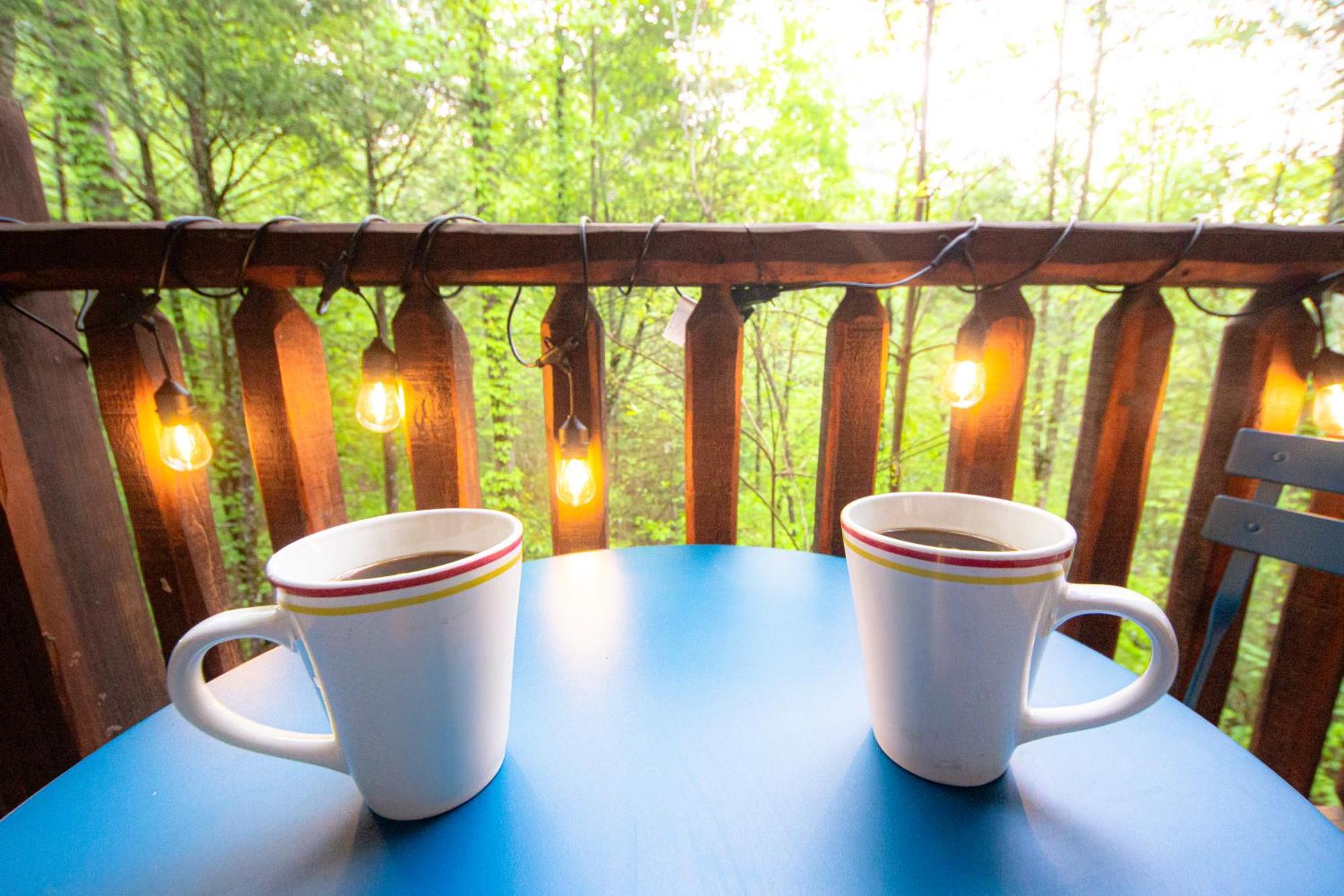 Love Me Tender Studio Cabin 세비어빌 객실 사진