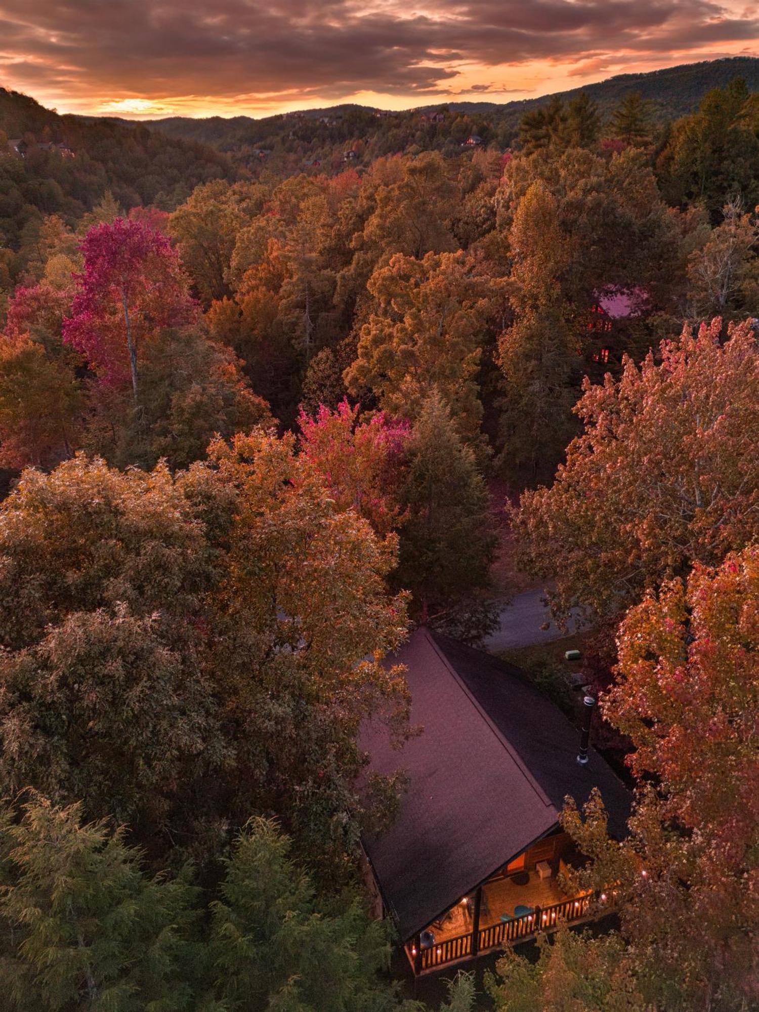 Love Me Tender Studio Cabin 세비어빌 외부 사진
